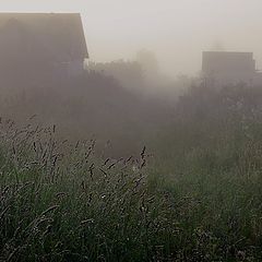 photo "mist morning"