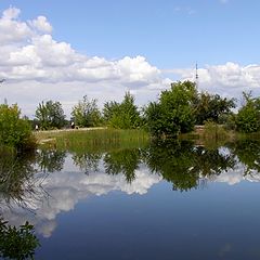 фото "Ещё не осень, но это неизбежно ..."