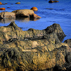 photo "***"