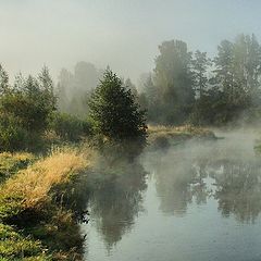 фото "Туманное утро 2"