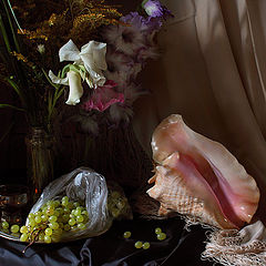photo "Still life with gladioli and seashell"