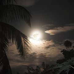 фото "FULL MOON"