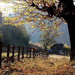 фото "Fall down from the mountain"