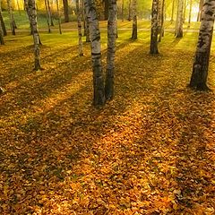 фото "Золотая осень"