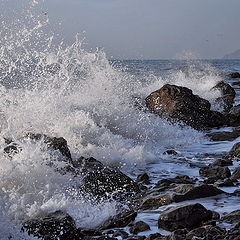 фото "брызги чёрного моря 2009"