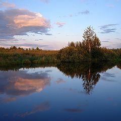 фото "Вечер на озере."