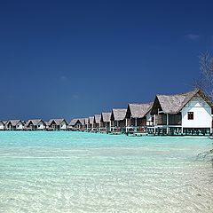 photo "Maldives. Midday."