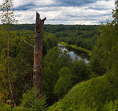 фото "Подмосковье"