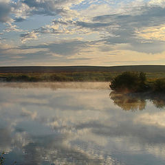 photo "... gold fog ..."