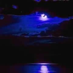 photo "Blues In The Night"