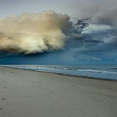 photo "Atum on the beach....."