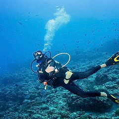 photo "Dive guide"