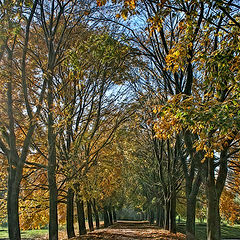 photo "Autumn in Moscow"