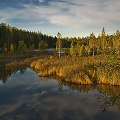 фото "Осеннее утро"