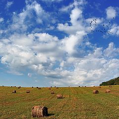 фото "Вересень"