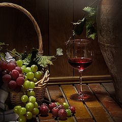 photo "Grape harvest."