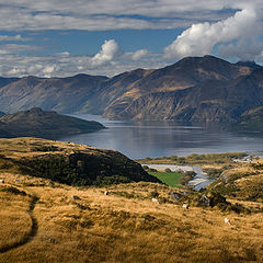 фото "Afternoon in Wanaka"