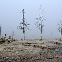 фото "Предзимье"