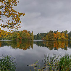 photo "Autumn panorama"