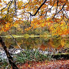 фото "Autumn in Europa."