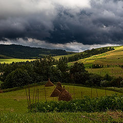 фото "Карпаты"