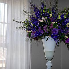 photo "flowers by window"