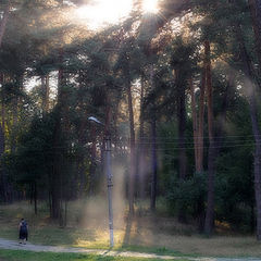 фото "В летнем парке"