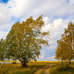 фото "Осенний Зов"