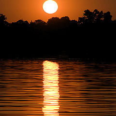 photo "Reflections"