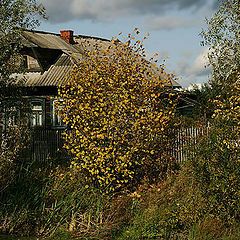 фото "Осеннее укрытие"