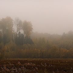 фото "Утро туманное"