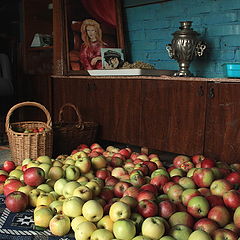 фото "На чердаке"