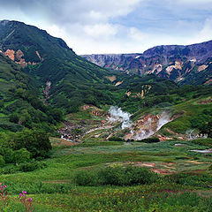 photo "Geyser valley"