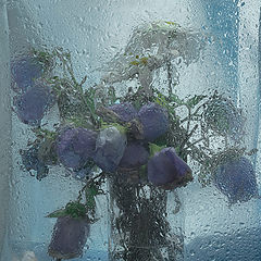 photo "***"