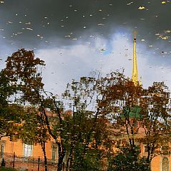 photo "Leaf fall"