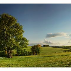 фото "islet"