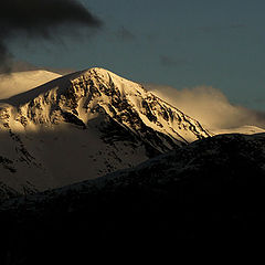 фото "Evening light"