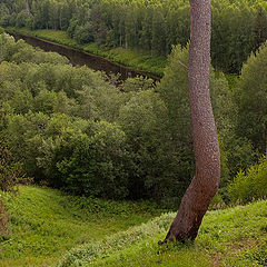 photo "lonely in the green"