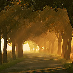 фото "Autumn road..."