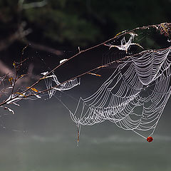 photo "The first catch of autumn"