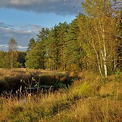 photo "So autumn has come"