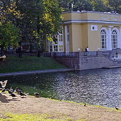 photo "On the Patriarchal ponds"