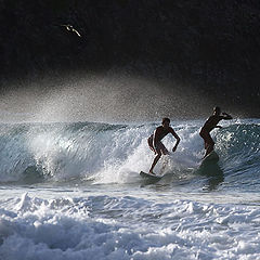 photo "Fernando de Noronha Surfing #4"