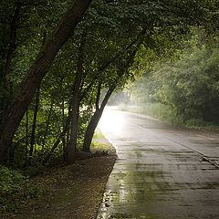 photo "Fog after the rain"