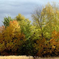 фото "Акварель"