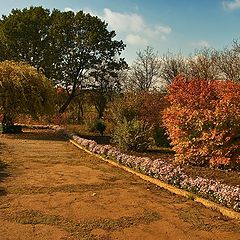 фото "Осенний сад"