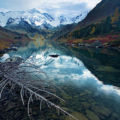 фото "Altai Mountains"