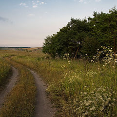 фото "Прекрасное далёко"