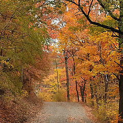 photo "Crimea. Chuchelsky Pass"