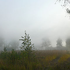 фото "Утро туманное 11"